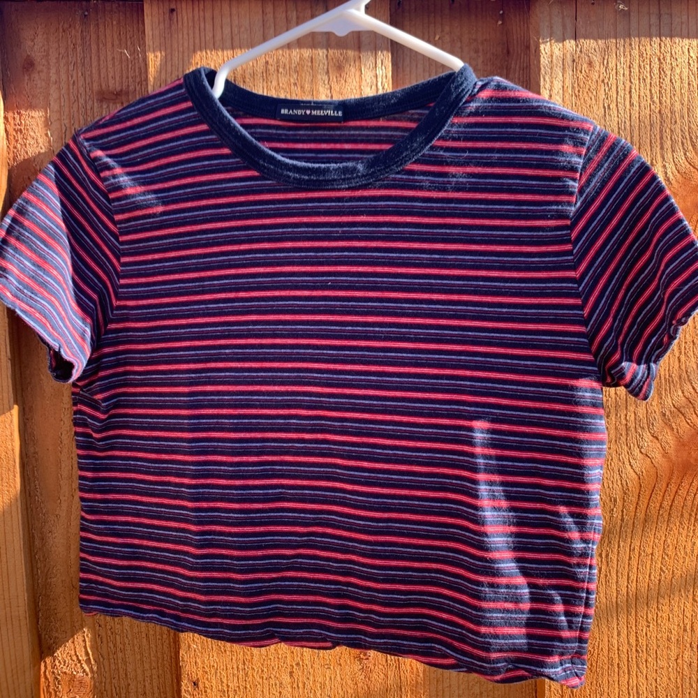 Brandy Melville Cropped Tee